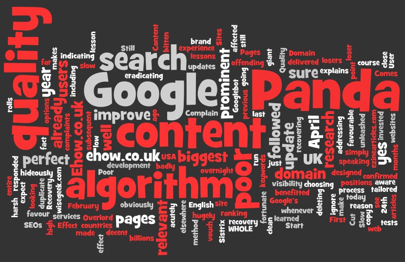 google panda one year on